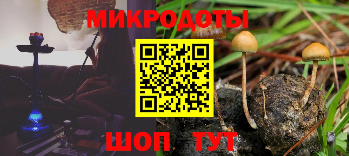 Тамбов  Псилоцибиновые грибы Magic Shrooms  Вход с VPN  Псилоцибиновые грибы Psilocybe 